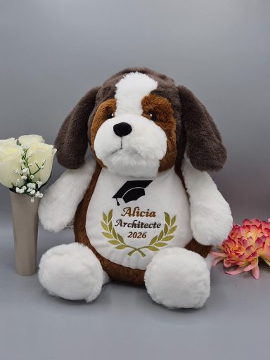 Peluche Chien avec Broderie Diplôme – Cadeau Réussite Personnalisé Peluche Chien avec Broderie Diplôme – Cadeau Réussite Personnalisé